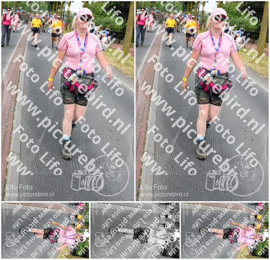 Evenement foto: Nijmeegse Vierdaagse 669