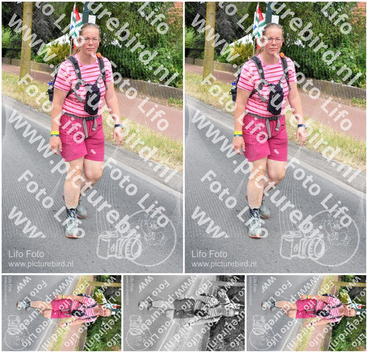 Evenement foto: Nijmeegse Vierdaagse 669
