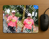 Evenement foto: Nijmeegse Vierdaagse 669