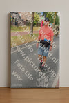 Evenement foto: Nijmeegse Vierdaagse 669