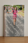 Evenement foto: Nijmeegse Vierdaagse 669