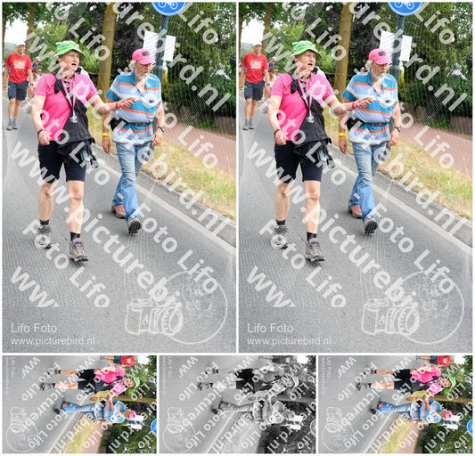 Evenement foto: Nijmeegse Vierdaagse 668