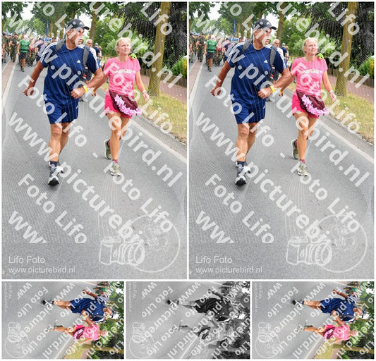 Evenement foto: Nijmeegse Vierdaagse 668