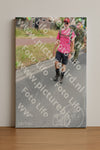 Evenement foto: Nijmeegse Vierdaagse 668