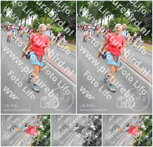 Evenement foto: Nijmeegse Vierdaagse 668
