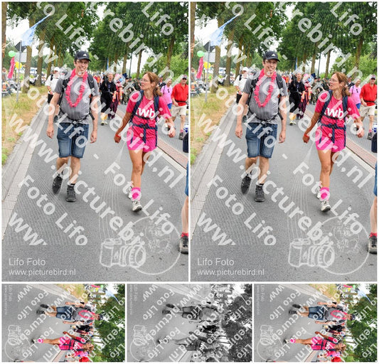 Evenement foto: Nijmeegse Vierdaagse 668