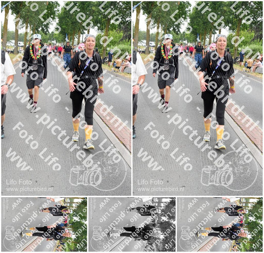 Evenement foto: Nijmeegse Vierdaagse 668