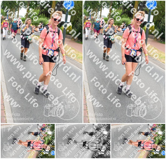 Evenement foto: Nijmeegse Vierdaagse 668