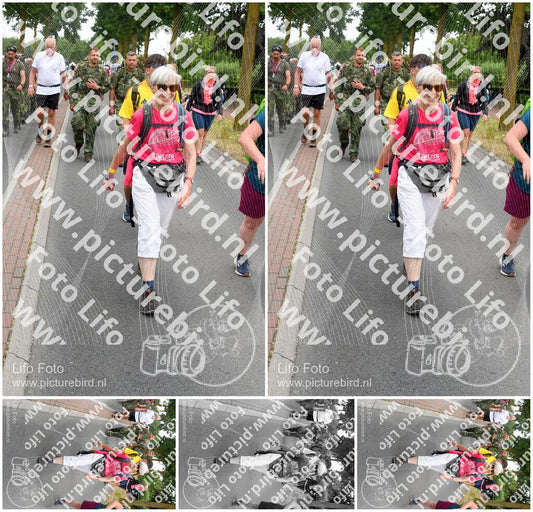 Evenement foto: Nijmeegse Vierdaagse 668