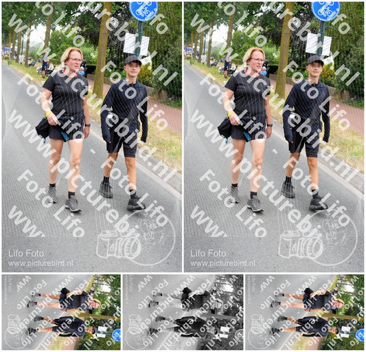 Evenement foto: Nijmeegse Vierdaagse 668