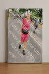 Evenement foto: Nijmeegse Vierdaagse 668