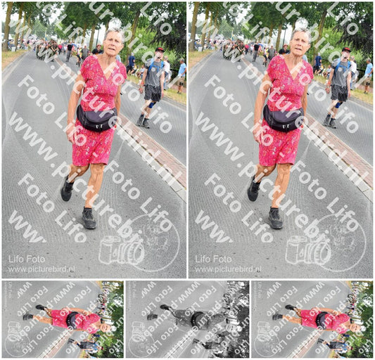Evenement foto: Nijmeegse Vierdaagse 668