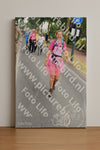 Evenement foto: Nijmeegse Vierdaagse 668