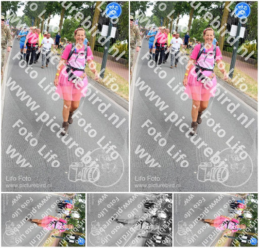 Evenement foto: Nijmeegse Vierdaagse 668