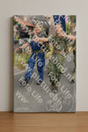 Evenement foto: Nijmeegse Vierdaagse 668