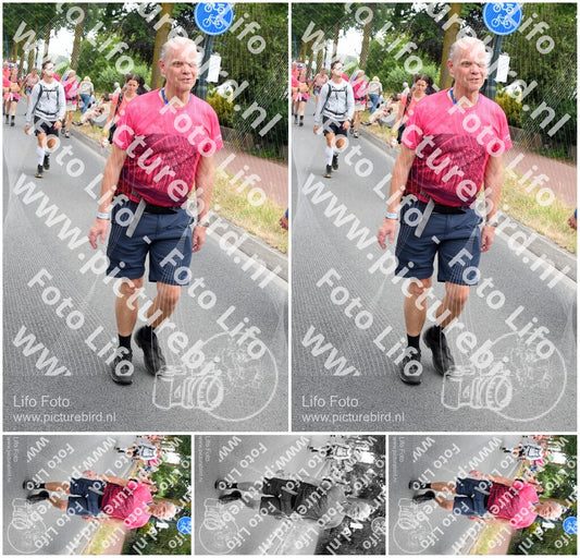 Evenement foto: Nijmeegse Vierdaagse 668