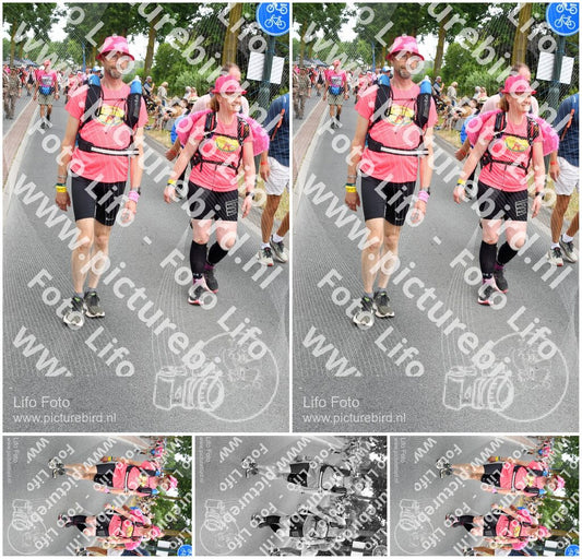 Evenement foto: Nijmeegse Vierdaagse 668
