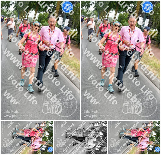 Evenement foto: Nijmeegse Vierdaagse 668