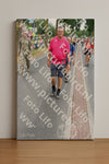 Evenement foto: Nijmeegse Vierdaagse 668