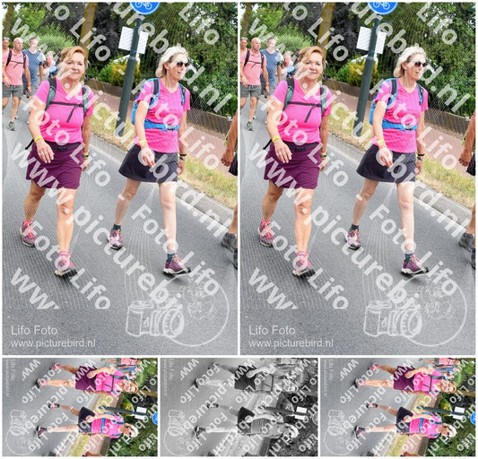Evenement foto: Nijmeegse Vierdaagse 668