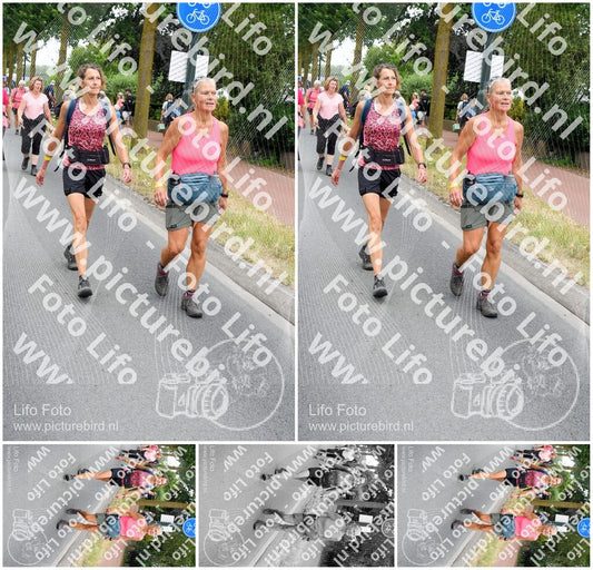Evenement foto: Nijmeegse Vierdaagse 668