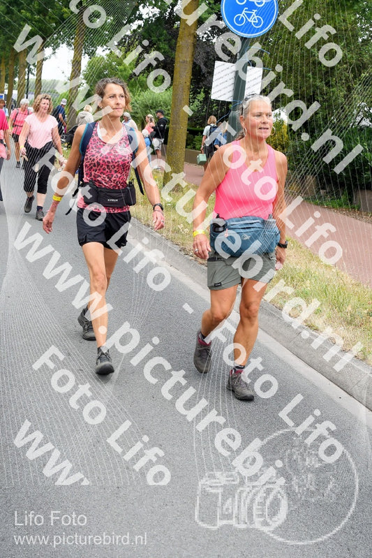 Evenement foto: Nijmeegse Vierdaagse 668