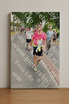 Evenement foto: Nijmeegse Vierdaagse 667