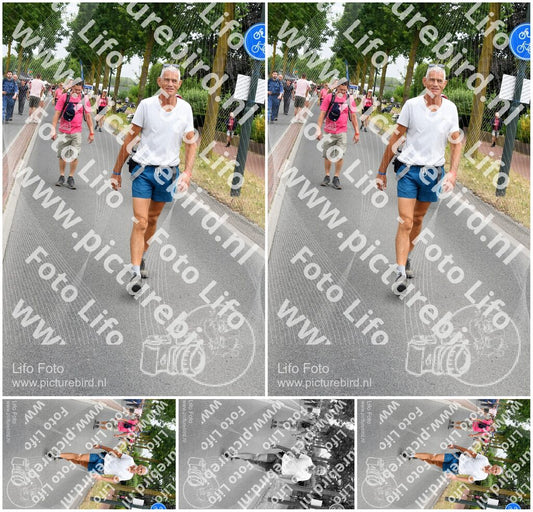 Evenement foto: Nijmeegse Vierdaagse 667