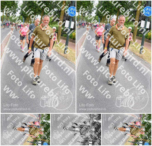 Evenement foto: Nijmeegse Vierdaagse 667