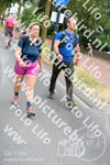 Evenement foto: Nijmeegse Vierdaagse 667