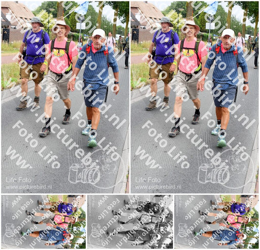 Evenement foto: Nijmeegse Vierdaagse 667