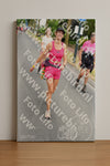 Evenement foto: Nijmeegse Vierdaagse 667