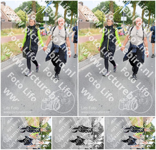 Evenement foto: Nijmeegse Vierdaagse 667