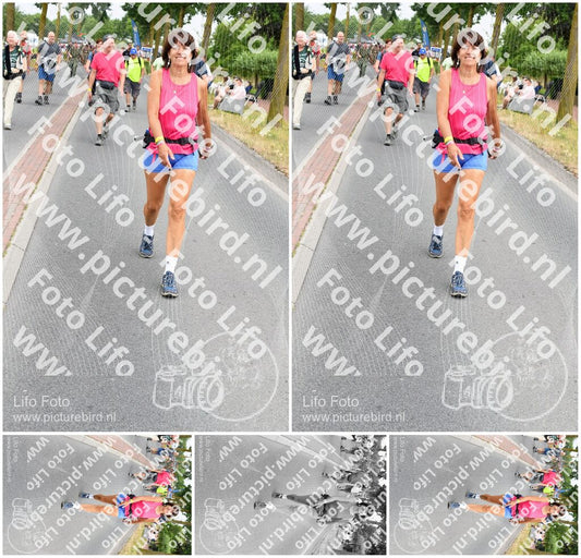 Evenement foto: Nijmeegse Vierdaagse 667