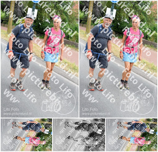 Evenement foto: Nijmeegse Vierdaagse 667