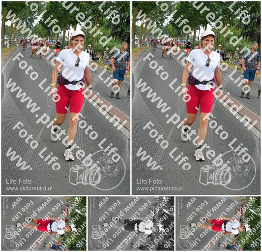 Evenement foto: Nijmeegse Vierdaagse 667