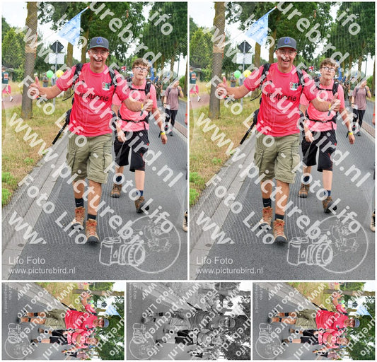 Evenement foto: Nijmeegse Vierdaagse 667