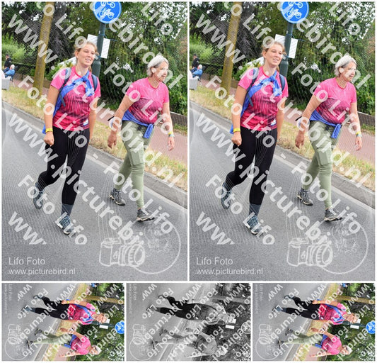 Evenement foto: Nijmeegse Vierdaagse 667