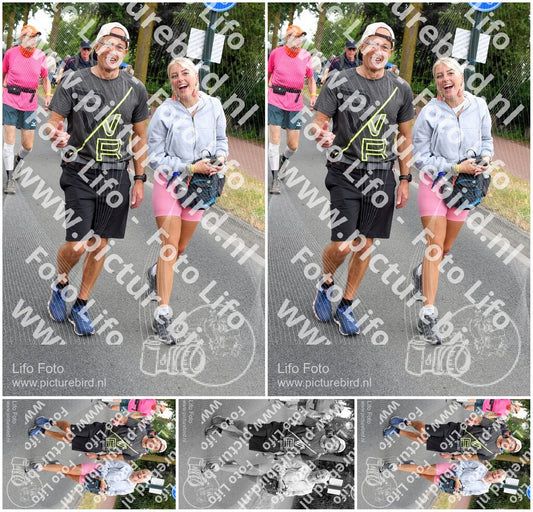 Evenement foto: Nijmeegse Vierdaagse 667