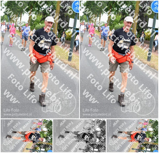 Evenement foto: Nijmeegse Vierdaagse 667
