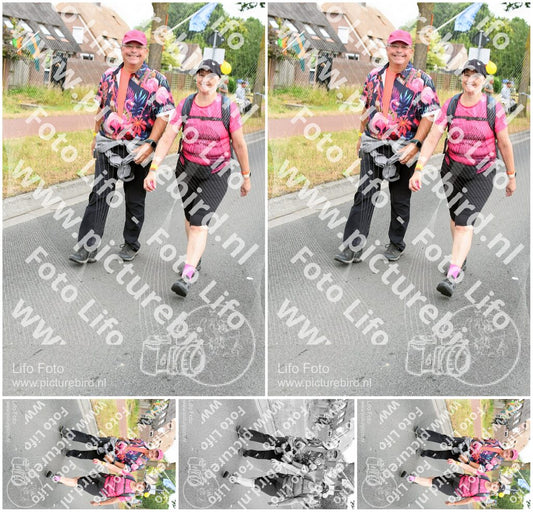 Evenement foto: Nijmeegse Vierdaagse 667