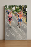 Evenement foto: Nijmeegse Vierdaagse 667