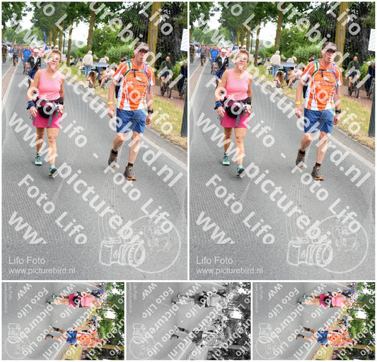 Evenement foto: Nijmeegse Vierdaagse 667