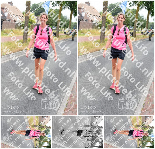 Evenement foto: Nijmeegse Vierdaagse 666