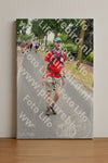 Evenement foto: Nijmeegse Vierdaagse 666