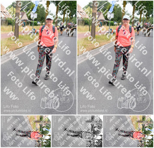 Evenement foto: Nijmeegse Vierdaagse 666