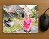 Evenement foto: Nijmeegse Vierdaagse 666