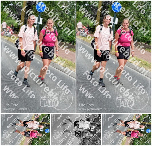 Evenement foto: Nijmeegse Vierdaagse 666