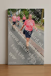 Evenement foto: Nijmeegse Vierdaagse 666