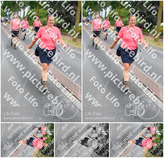 Evenement foto: Nijmeegse Vierdaagse 666